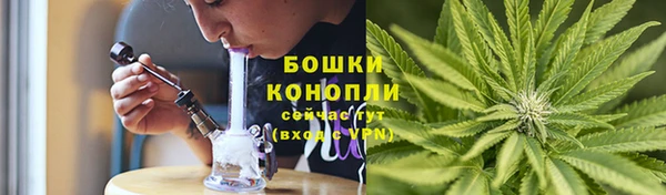 сатива Протвино