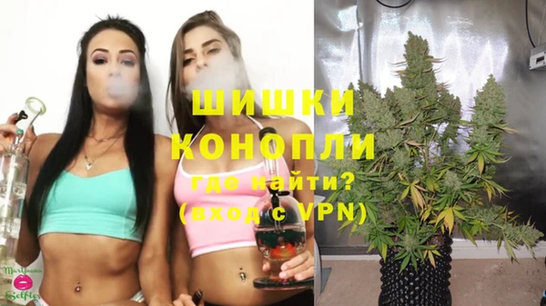 сатива Протвино